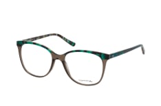 Comma 70103 95, including lenses, BUTTERFLY Glasses, FEMALE