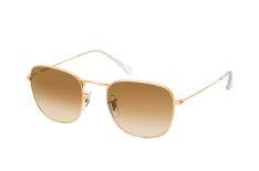 Ray-Ban Frank RB 3857 919651 large petite