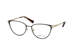 Michael Kors MK 3049 1334, including lenses, BUTTERFLY Glasses, FEMALE