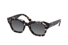 Ray-Ban State Street RB 2186 133371 petite