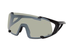 Alpina Hawkeye Q-Lite A8691 31, SINGLELENS Sunglasses, UNISEX