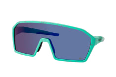 Alpina Ram Q-Lite A8673 71, SINGLELENS Sunglasses, UNISEX