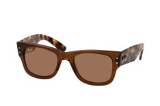 Ray-Ban RB 0840S 663693 small