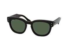 Ray-Ban 0RB0298S 901/31 petite