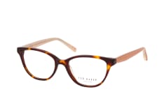 Ted Baker 399252 101, including lenses, BUTTERFLY Glasses, FEMALE
