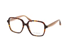 Ted Baker 399257 175, including lenses, SQUARE Glasses, FEMALE