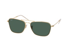 Ray-Ban Reverse RBR 0102S 001/VR small