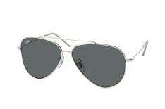 Ray-Ban Reverse RBR 0101S 003/GR klein