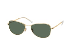 Ray-Ban RB 3733 001/31 petite