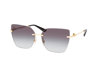 Dolce&Gabbana DG 2321 02/8G