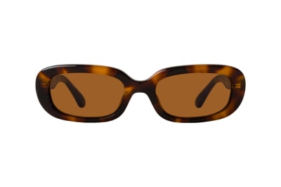 Chimi 12 Tortoise