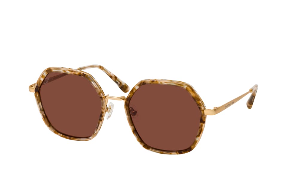 AMSTERDAM E. SUN Toffee Tortoise